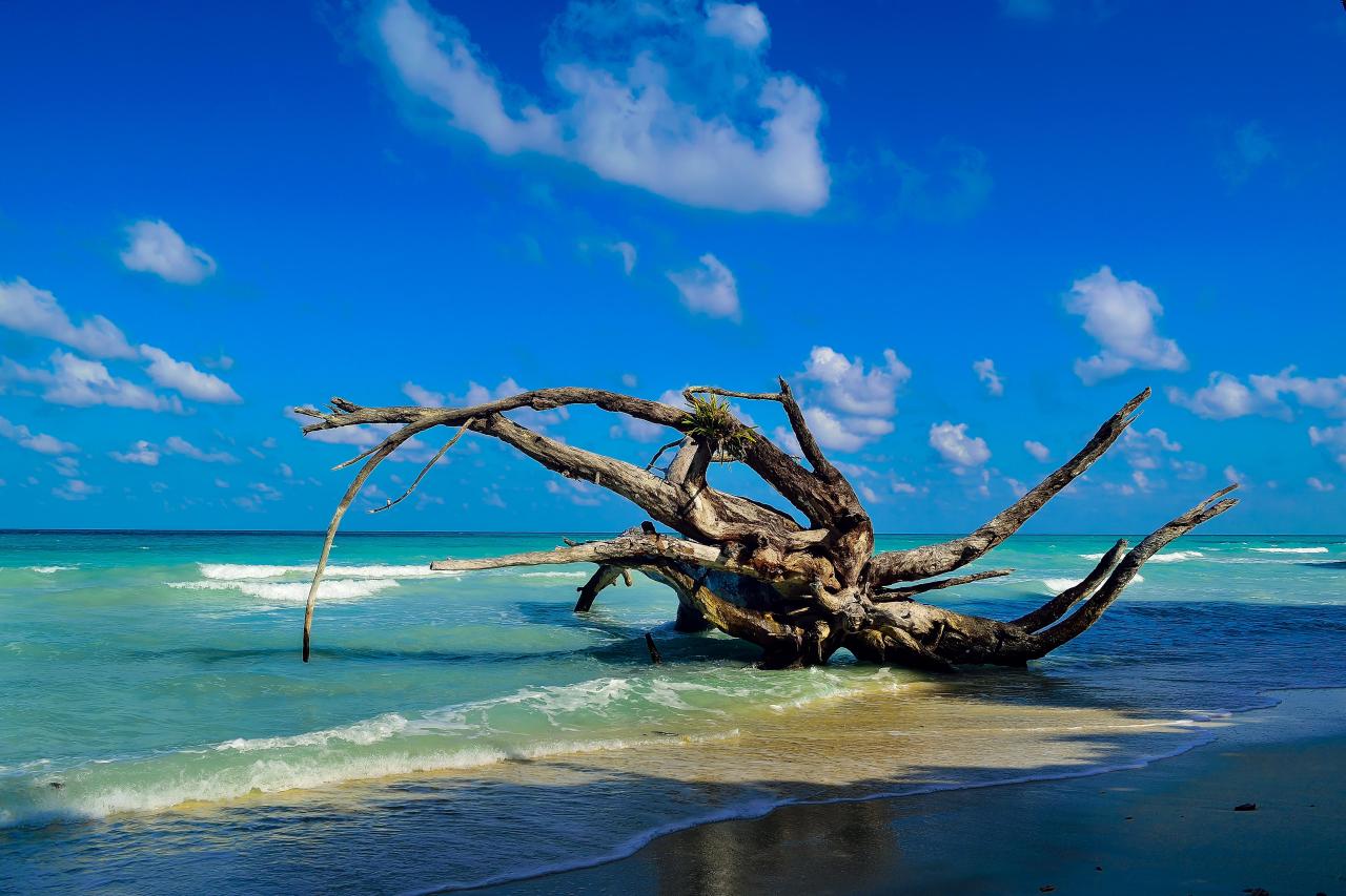 From Havelock Island Car transfer to Kalapathar Beach - Ferry transfer to Port Blair (Overnight stay)