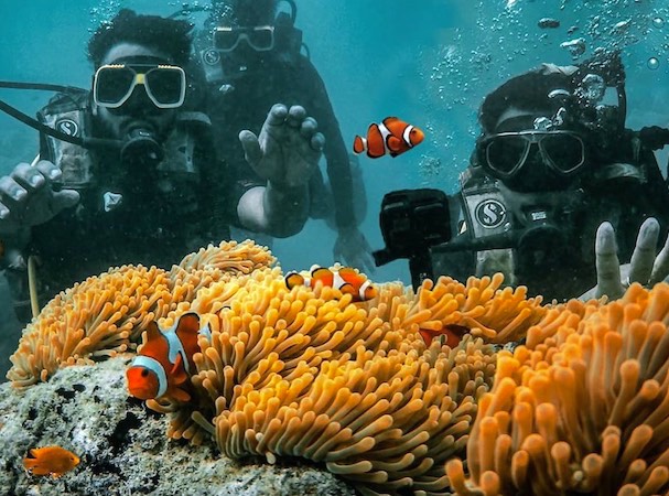Scuba Diving For Non Swimmers-Havelock